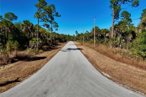 Land in Lehigh Acres, Florida № 2160995 - photo 10