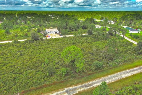 Terreno en venta en Lehigh Acres, Florida № 2164317 - foto 8