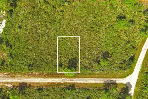 Terreno en venta en Lehigh Acres, Florida № 2164317 - foto 3
