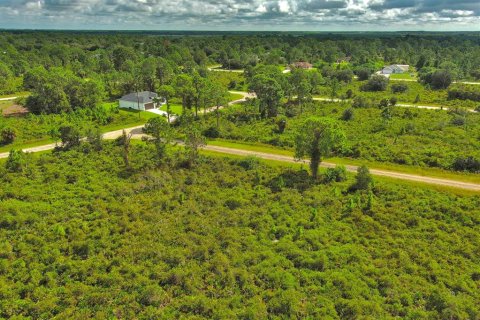Terreno en venta en Lehigh Acres, Florida № 2164317 - foto 10