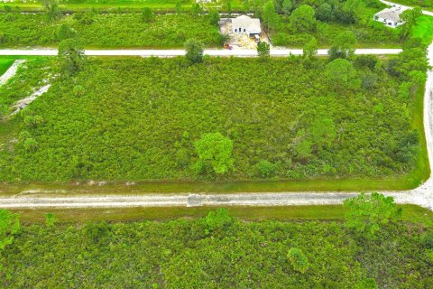 Land in Lehigh Acres, Florida № 2164317