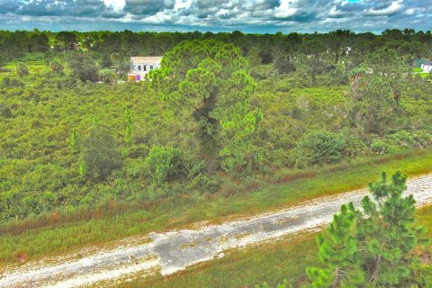 Terreno en venta en Lehigh Acres, Florida № 2164317 - foto 5