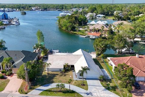 House in Crystal River, Florida 5 bedrooms, 344.57 sq.m. № 1644482 - photo 2