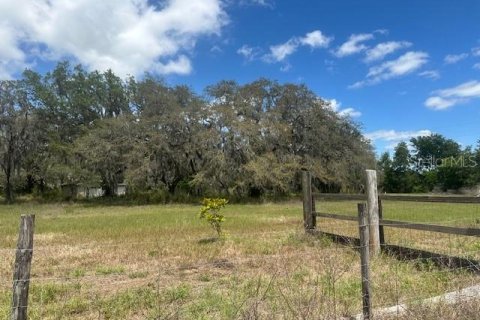 Terreno en venta en Wesley Chapel, Florida № 2166347 - foto 4