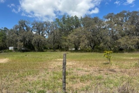 Terreno en venta en Wesley Chapel, Florida № 2166347 - foto 5