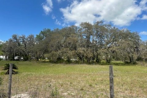 Terreno en venta en Wesley Chapel, Florida № 2166347 - foto 3