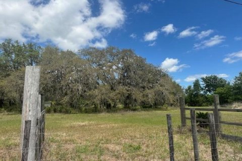 Terreno en Wesley Chapel, Florida № 2166347