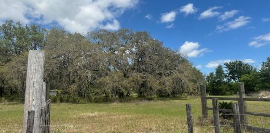 Terreno en Wesley Chapel, Florida № 2166347