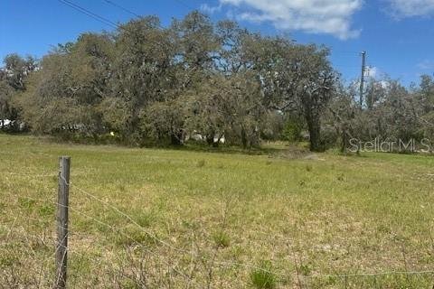 Terreno en venta en Wesley Chapel, Florida № 2166347 - foto 2
