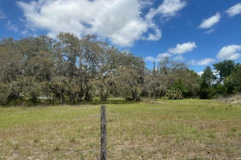 Terreno en venta en Wesley Chapel, Florida № 2166347 - foto 6