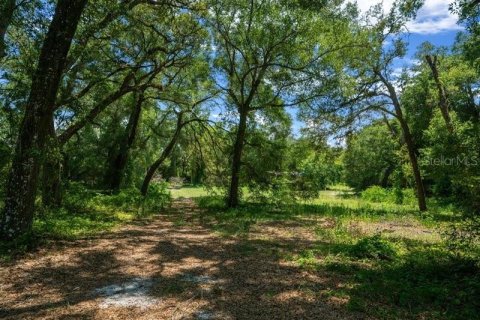 Terreno en venta en Oxford, Florida № 1511925 - foto 24