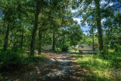 Terreno en venta en Oxford, Florida № 1511925 - foto 15