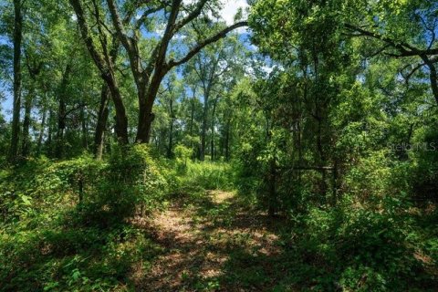 Terreno en venta en Oxford, Florida № 1511925 - foto 21
