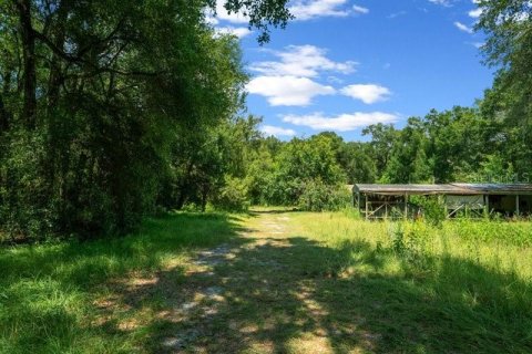 Terreno en venta en Oxford, Florida № 1511925 - foto 22