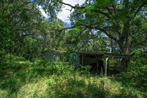 Terreno en venta en Oxford, Florida № 1511925 - foto 19