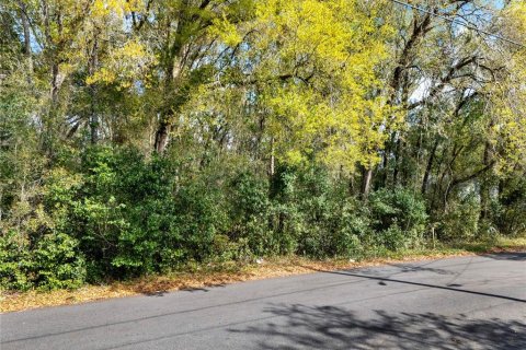 Terreno en venta en Inverness, Florida № 2232731 - foto 4
