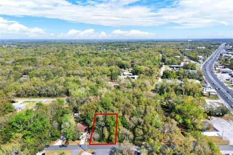 Terreno en venta en Inverness, Florida № 2232731 - foto 8