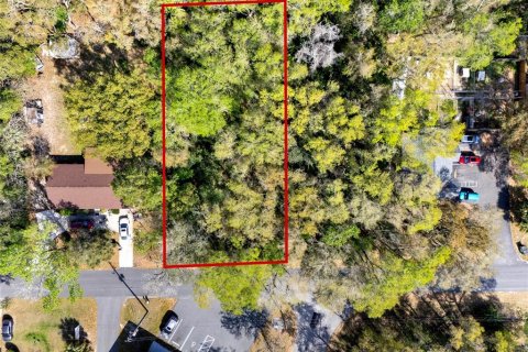 Terreno en venta en Inverness, Florida № 2232731 - foto 12