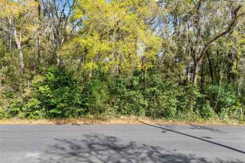 Terreno en venta en Inverness, Florida № 2232731 - foto 5