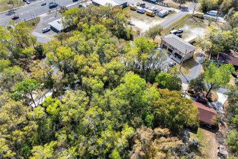 Terreno en venta en Inverness, Florida № 2232731 - foto 17
