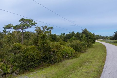 Terreno en venta en Punta Gorda, Florida № 2214163 - foto 3