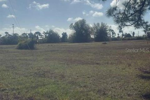 Land in Placida, Florida № 2228928 - photo 4
