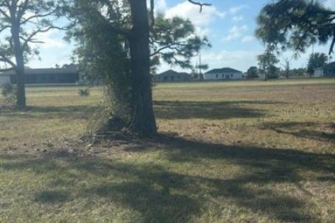 Land in Placida, Florida № 2228928