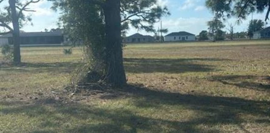 Land in Placida, Florida № 2228928