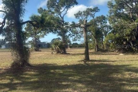 Land in Placida, Florida № 2228928 - photo 3