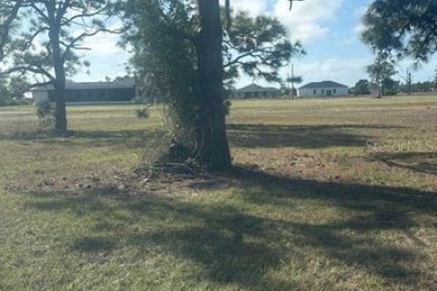 Land in Placida, Florida № 2228928 - photo 2