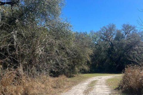 Terrain à Leesburg, Floride № 2103404