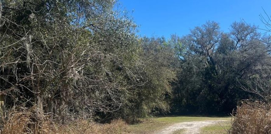 Land in Leesburg, Florida № 2103404