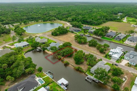 Terreno en venta en Flagler Beach, Florida № 1911182 - foto 21