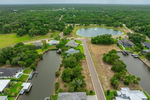 Terreno en venta en Flagler Beach, Florida № 1911182 - foto 11