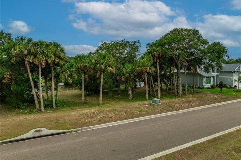 Terreno en venta en Flagler Beach, Florida № 1911182 - foto 29