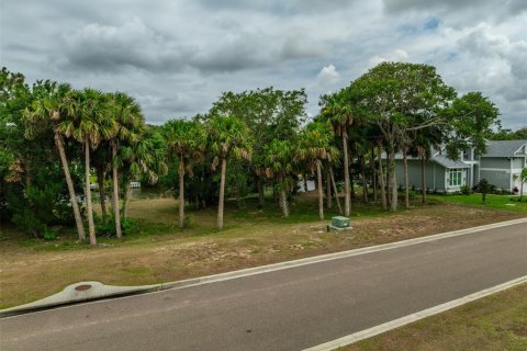 Terreno en venta en Flagler Beach, Florida № 1911182 - foto 5