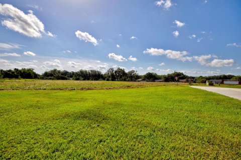 Land in Lakeland, Florida № 1870612 - photo 12
