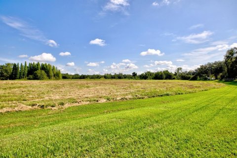Land in Lakeland, Florida № 1870612 - photo 6