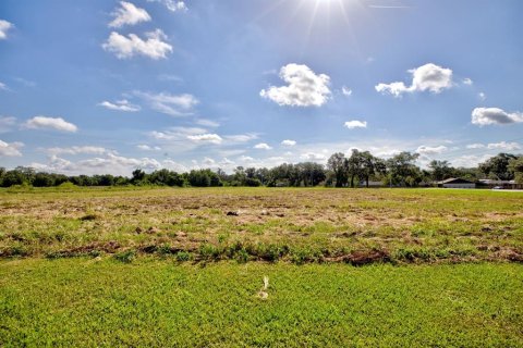 Land in Lakeland, Florida № 1870612 - photo 10