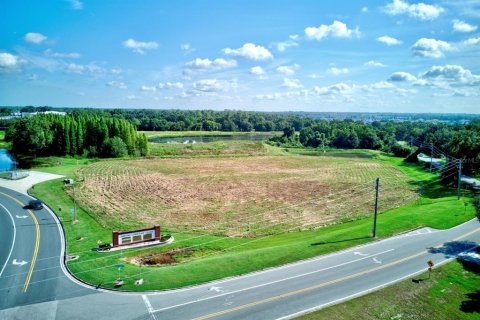 Land in Lakeland, Florida № 1870612 - photo 2