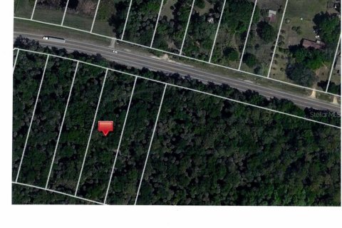 Land in Davenport, Florida № 244337 - photo 1