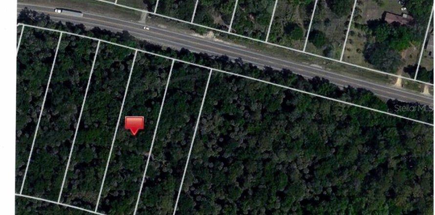 Land in Davenport, Florida № 244337