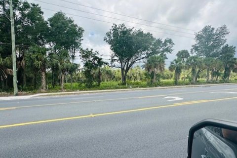 Land in Cross City, Florida № 1535060 - photo 4