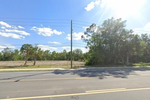Land in Cross City, Florida № 1535060 - photo 7