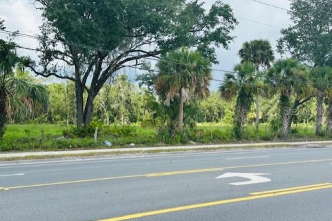 Land in Cross City, Florida № 1535060 - photo 1