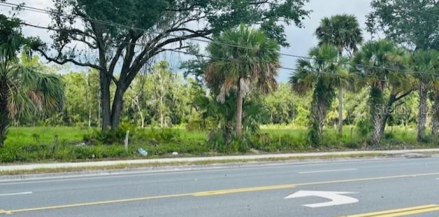Land in Cross City, Florida № 1535060