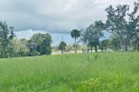 Land in Cross City, Florida № 1535060 - photo 5