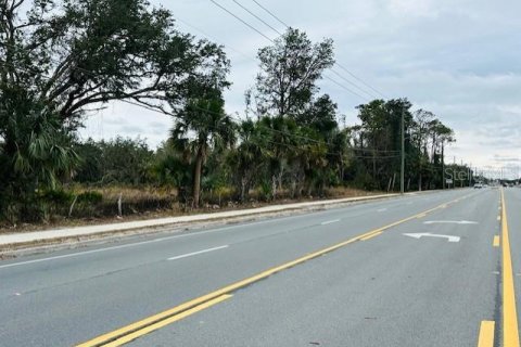 Land in Cross City, Florida № 1535060 - photo 2