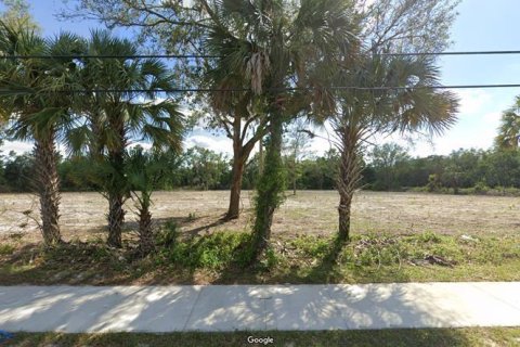 Land in Cross City, Florida № 1535060 - photo 9