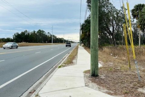 Land in Cross City, Florida № 1535060 - photo 6